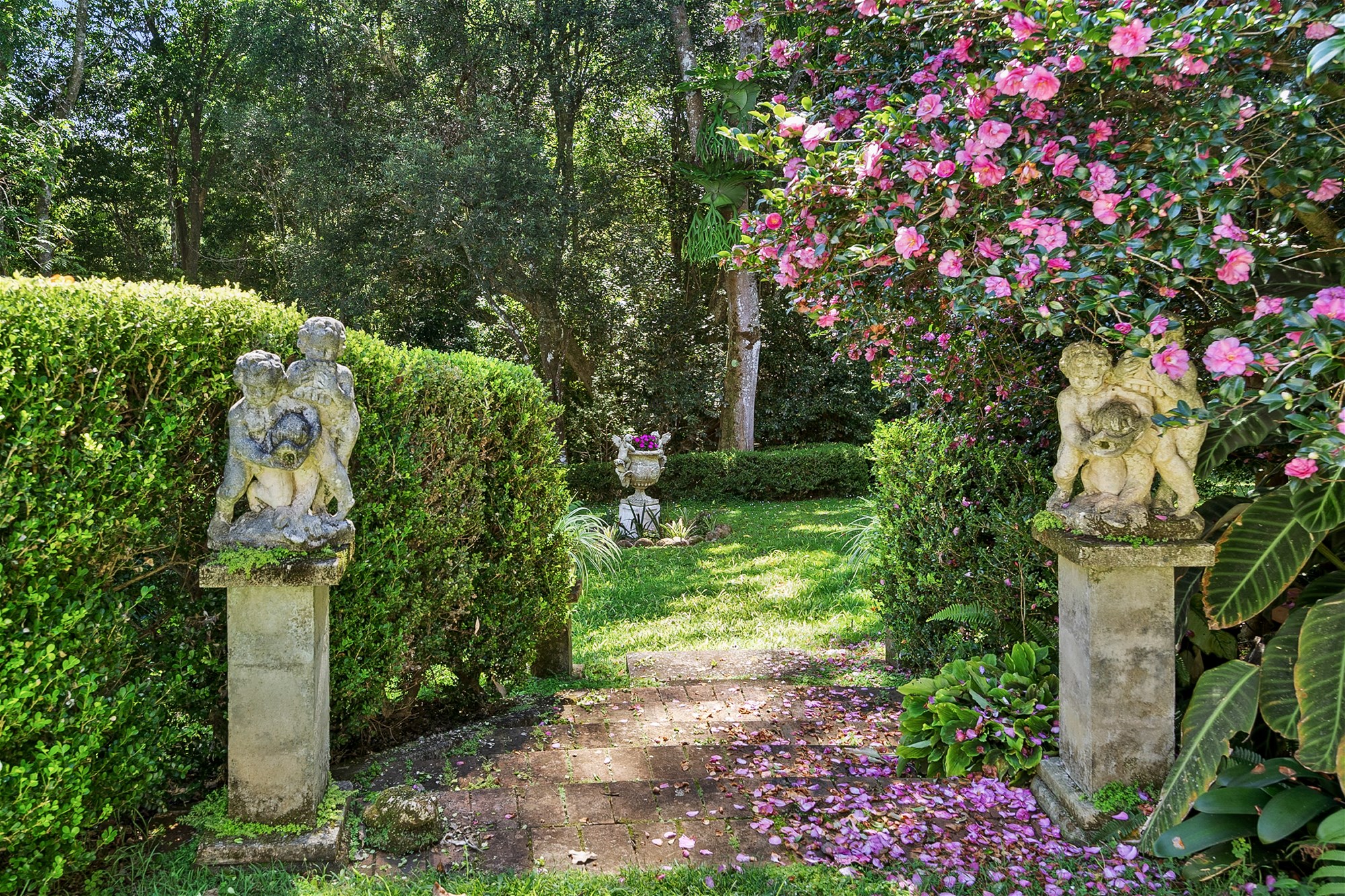 Colonial Charm on 4,000m² | Private Hinterland Retreat Moments to Kondalilla Falls